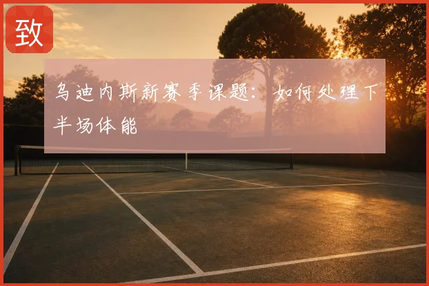 乌迪内斯新赛季课题：如何处理下半场体能