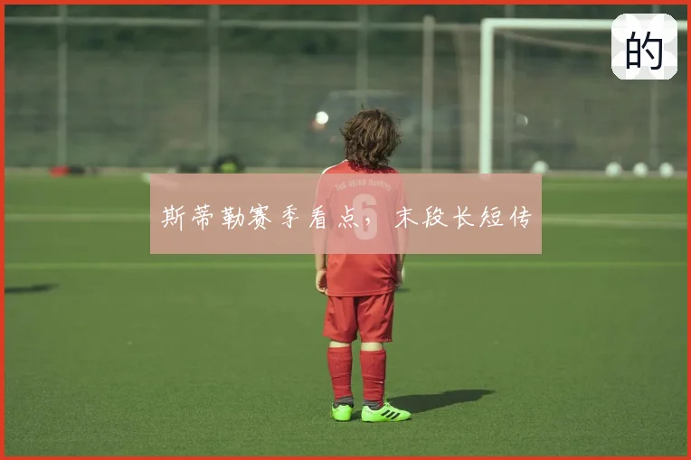 斯蒂勒赛季看点，末段长短传